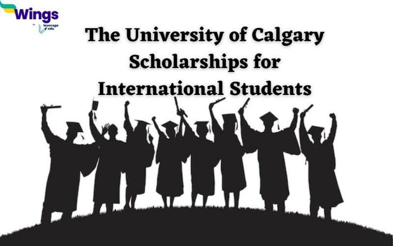 university of calgary scholarships