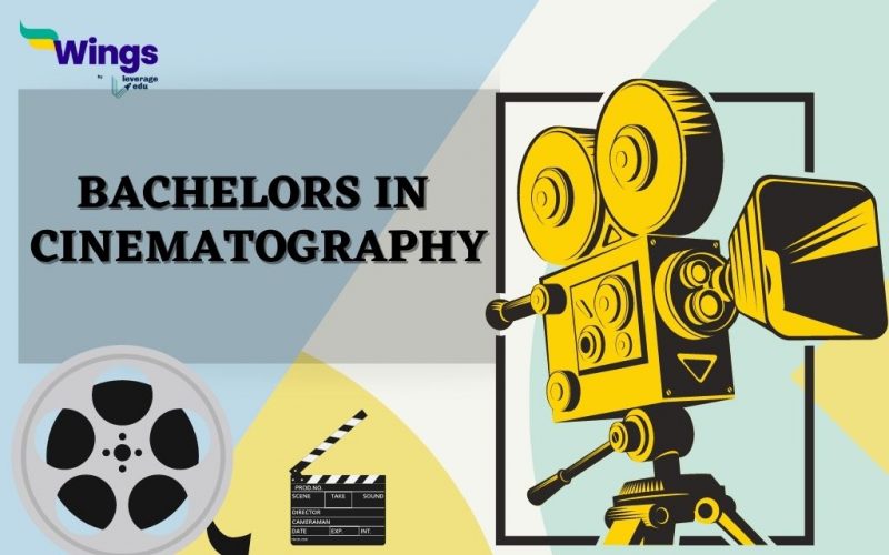 Bachelors in Cinematography