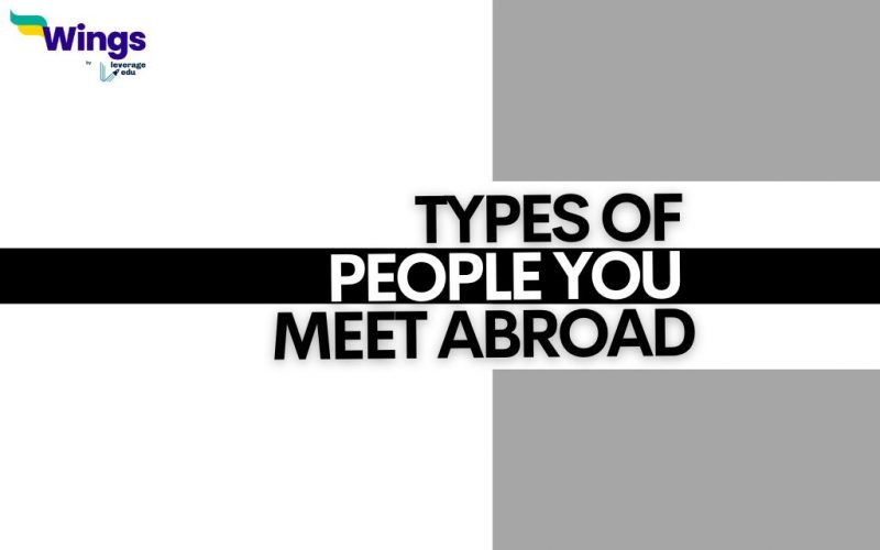 types of people you meet abroad