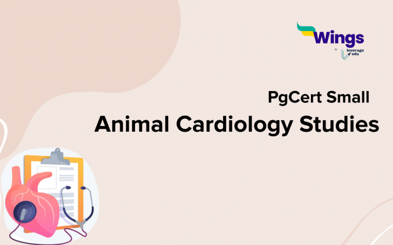 PgCert Small Animal Cardiology Studies