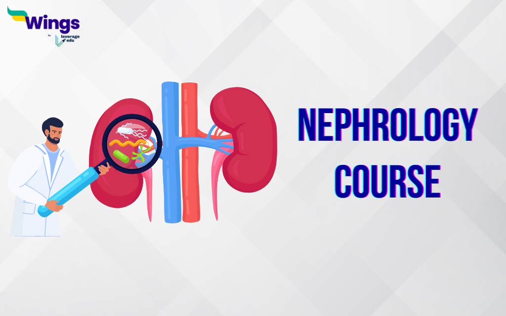 Nephrology Course Admission, Eligibility, Top Universities, Salary